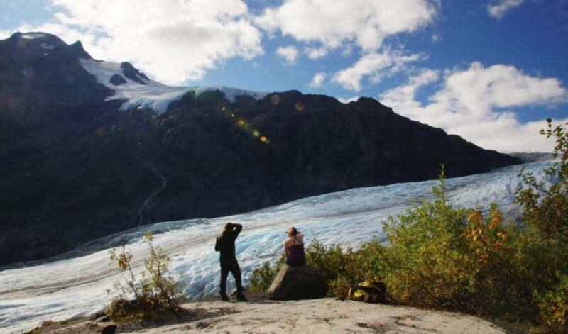 Seward: Guided Marmot Meadows Hike with Lunch - Why This Tour Offers Great Value