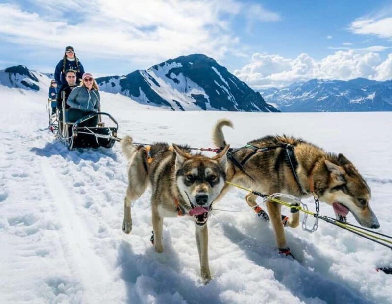 Seward: Heli Tour & Glacier Dogsled with 2 Landings - Who Is This Tour Best For?