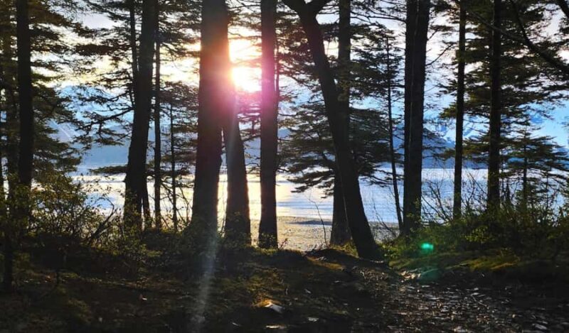 Seward: Kayak to Bridal Veil Falls with Lunch - FAQs