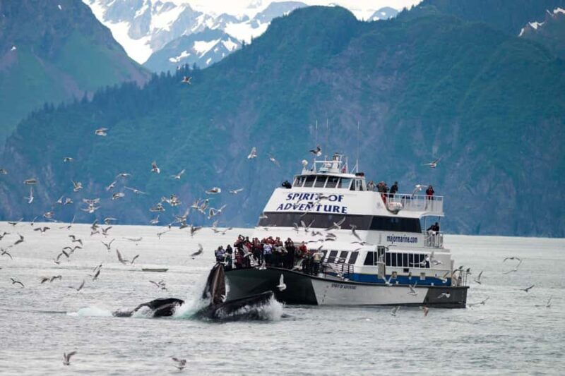 Seward: Kenai Fjords National Park Extended Glacier Cruise - Key Points