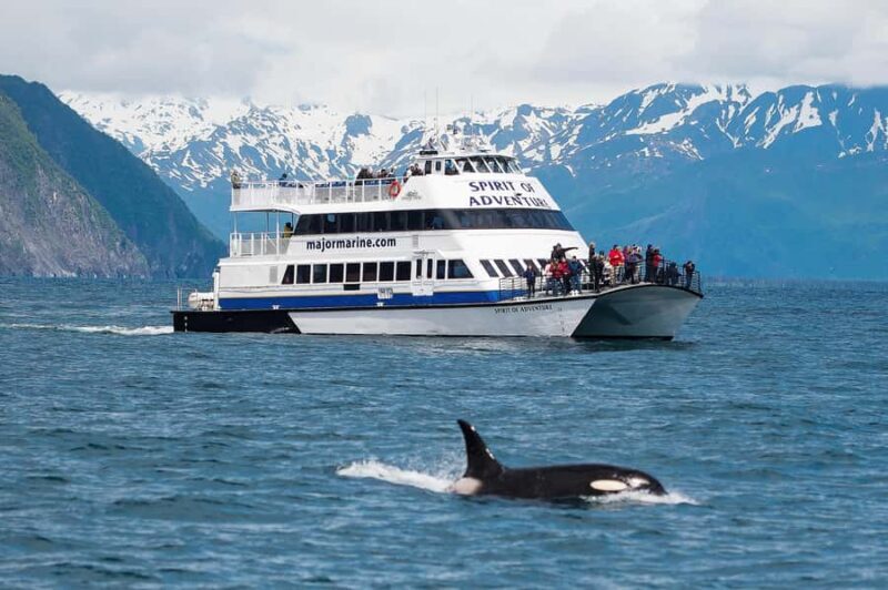 Seward: Kenai Fjords National Park Extended Glacier Cruise - An In-Depth Look at the Kenai Fjords Glacier Cruise