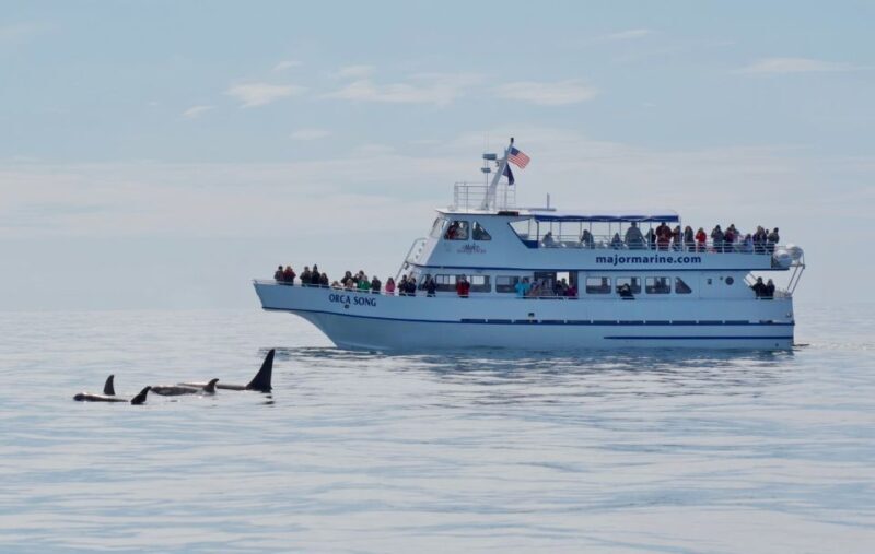 Seward: Resurrection Bay Orca Quest Cruise - The Experience in Detail