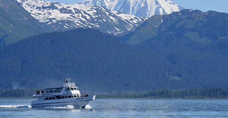 Seward: Resurrection Bay Orca Quest Cruise - Final Thoughts