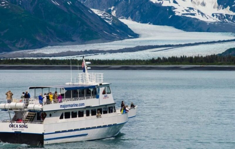 Seward: Spring Wildlife Guided Cruise - Authenticity and Knowledge: Guides Make All the Difference