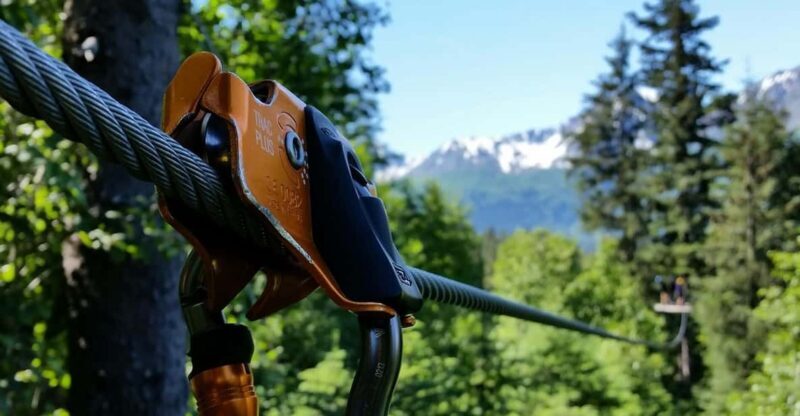 Seward: Stoney Creek Canopy Tour with Zipline - Key Points
