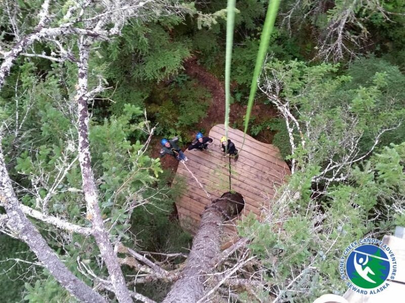 Seward: Stoney Creek Canopy Tour with Zipline - The Guides and Safety