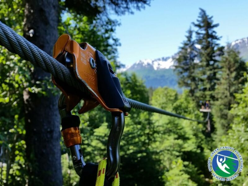Seward: Stoney Creek Canopy Tour with Zipline - An In-Depth Look at the Seward Canopy Adventure