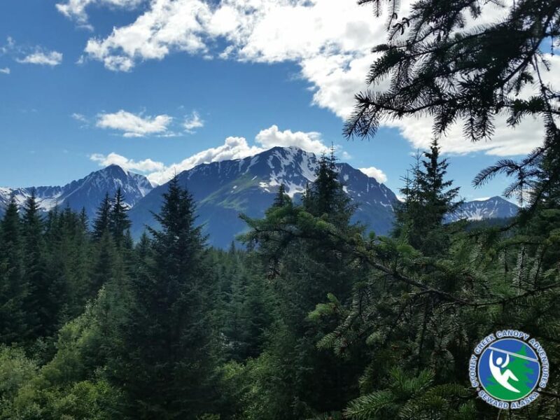 Seward: Stoney Creek Canopy Tour with Zipline - Final Thoughts