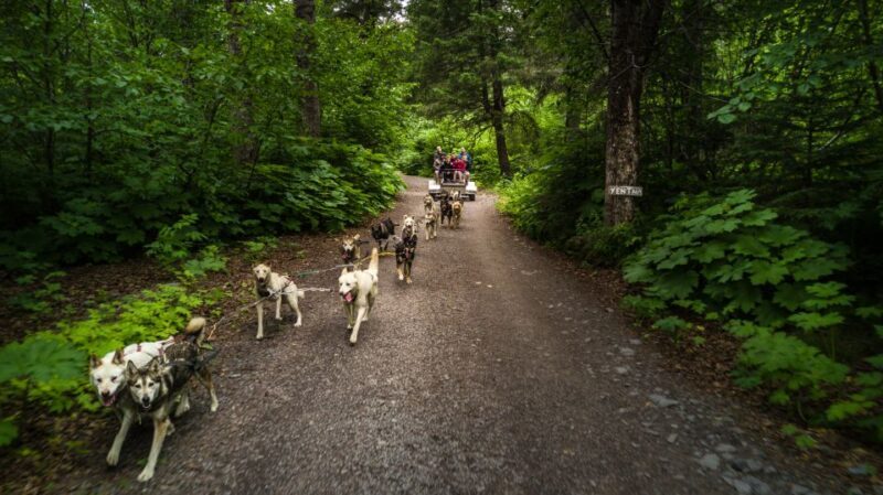 Seward: Summer Dog Sled Ride and Seavey Estate Tour - The Bottom Line