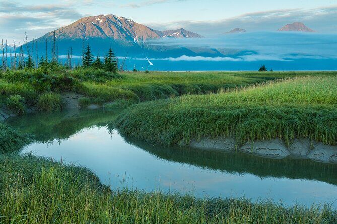 Seward to Anchorage Scenic Transfer Photo Tour - Who Will Love This Tour?