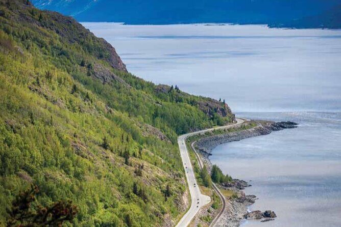 Seward to Anchorage Wildlife Adventure - A Detailed Look at the Seward to Anchorage Wildlife Adventure