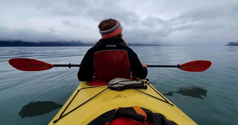 Seward: Tonsina Point Kayak & Exit Glacier Nature Hike - What Past Participants Say