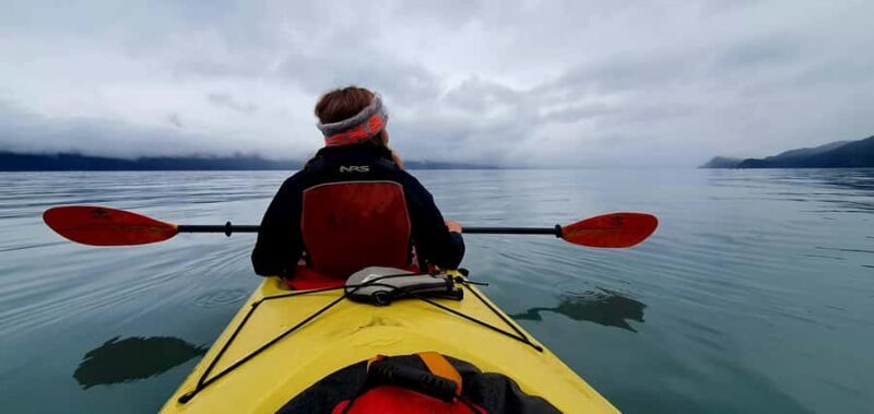 Seward: Tonsina Point Sea Kayaking Trip with Hotel Pickup - Key Points