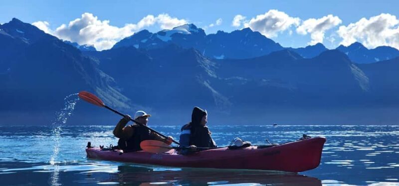 Seward: Tonsina Point Sea Kayaking Trip with Hotel Pickup - The Experience in Detail