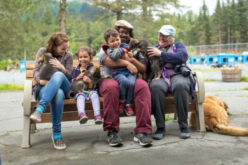 Seward: Turning Heads Kennel Tour & Dog Sled Ride - Key Points