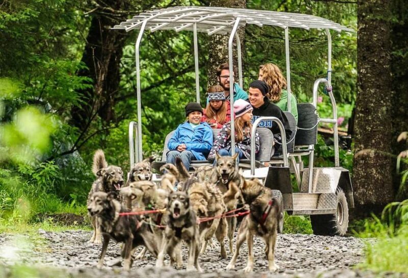 Seward: Turning Heads Kennel Tour & Dog Sled Ride - An In-Depth Look at the Kennel Tour & Sled Ride