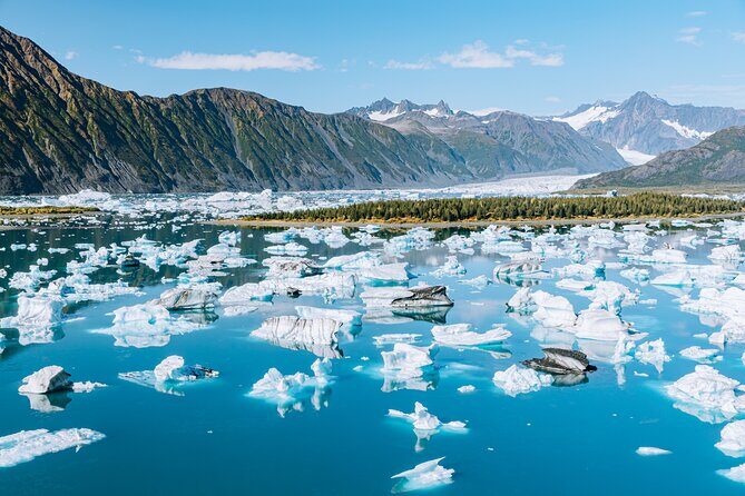 Seward Wildlife Explorer 60 minute Heli Flightseeing - Key Points