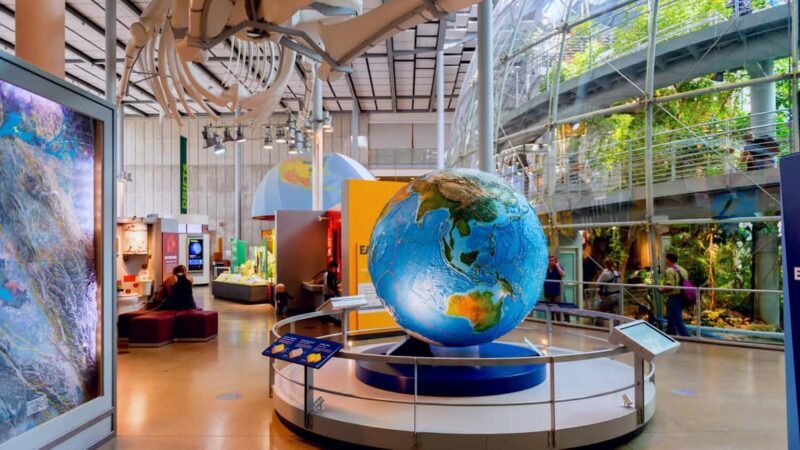 SF: CA Academy of Sciences & Hop-on Hop-off Tour (Save 15%) - Final Thoughts: Is It Right for You?