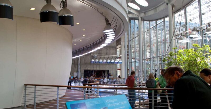 SF: CA Academy of Sciences & Hop-on Hop-off Tour (Save 15%) - Final Thoughts