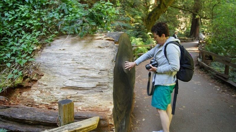 SF: Guided Muir Woods Tour & Hop-On Hop-Off Tour (Save 15%) - Key Points