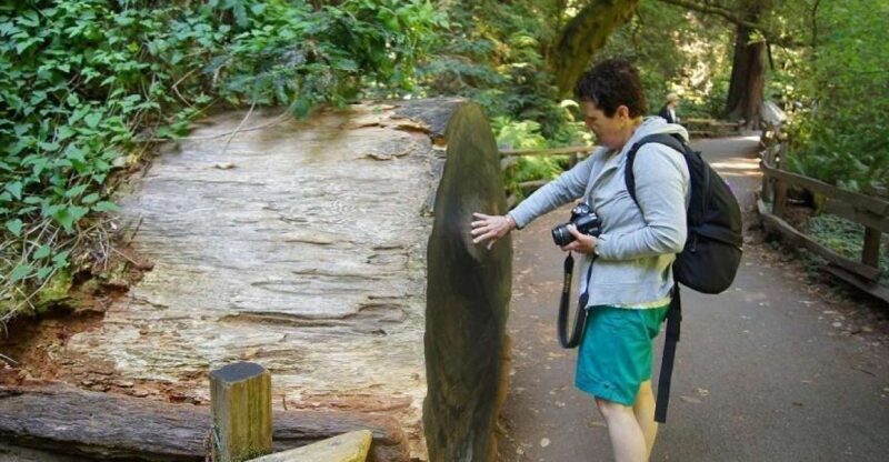 SF: Guided Muir Woods Tour & Hop-On Hop-Off Tour (Save 15%) - Exploring the Itinerary in Detail