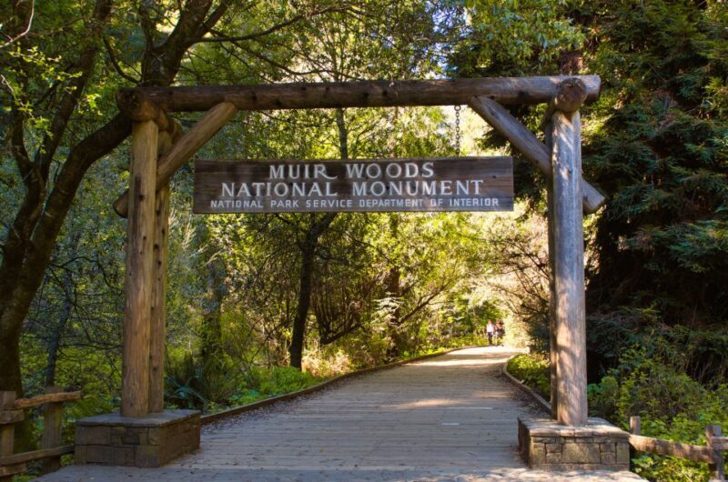 SF: Muir Woods, Sausalito, Golden Gate Bridge Private Tour - Transport and Comfort