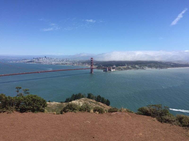 SF: Muir Woods, Sausalito, Golden Gate Bridge Private Tour - What Reviewers Say