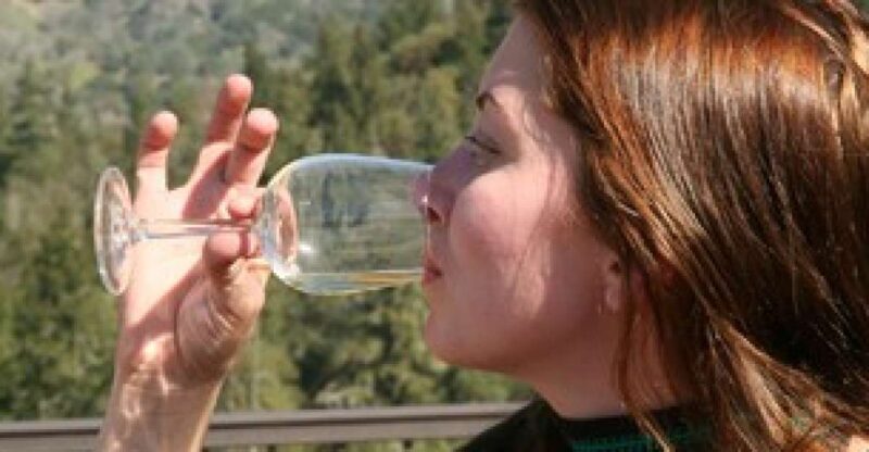 SF: Napa & Sonoma Wine Tour & Hop-on Hop-off Tour (Save 15%) - A Closer Look at the Itinerary and Experience