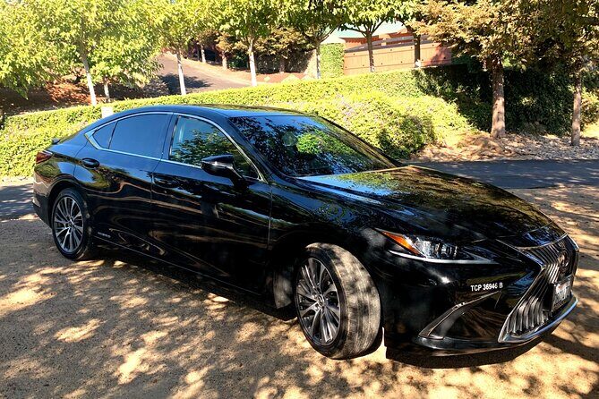 SF to Napa/Sonoma Wine Tour Transportation in Luxury Sedan - The benefits of private, flexible planning