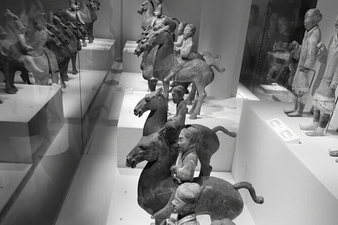 Shaanxi History Museum Qin-Han Division English guide service - An In-Depth Look at the Experience