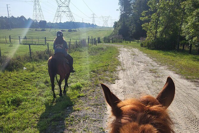 Shaded Trails Horse Ride - Final Thoughts