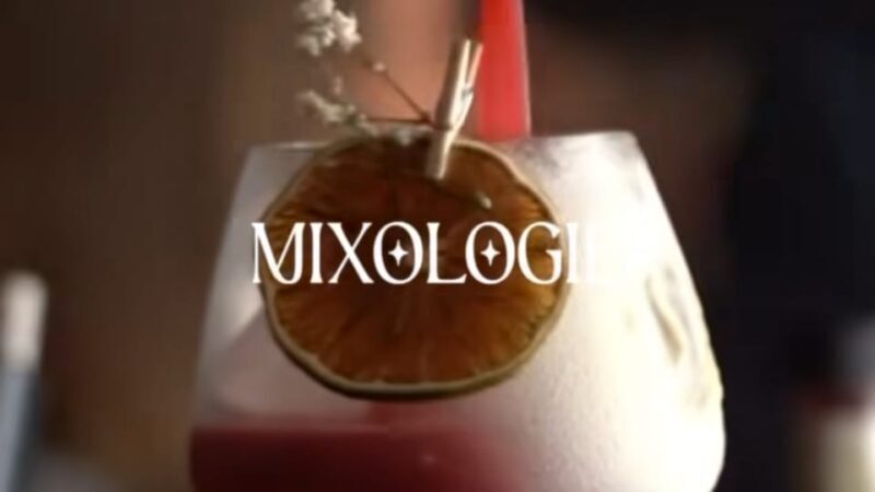 Shake, Mix & Sip: Cocktail Workshop in Old Nice - A Detailed Look at the Cocktail Workshop Experience