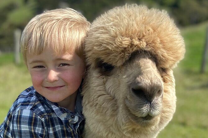 Shamarra Alpaca Farm Tours - What You Can Expect from Shamarra Alpaca Farm Tours