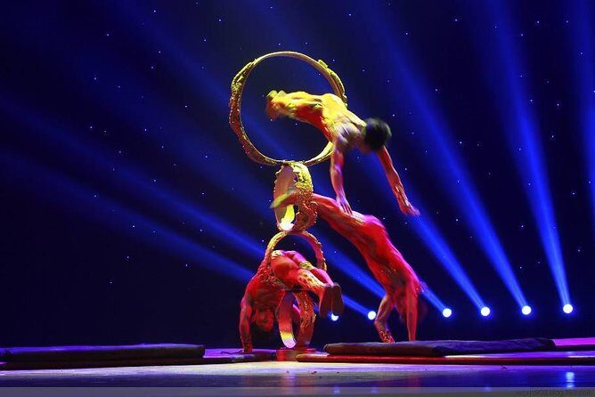 Shanghai Acrobatic Show and Late Dim Sum Dinner - The Itinerary in Detail