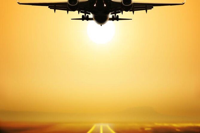 Shanghai Cruise Ports Private Transfer to Shanghai Airports in English Services - What to Expect from the Transfer Service