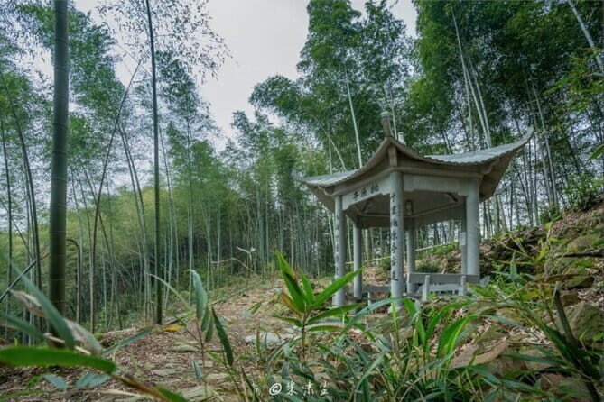 Shanghai to Hangzhou Tofu Ancient Road Hiking Tour by Train - Hiking the Tofu Ancient Trail