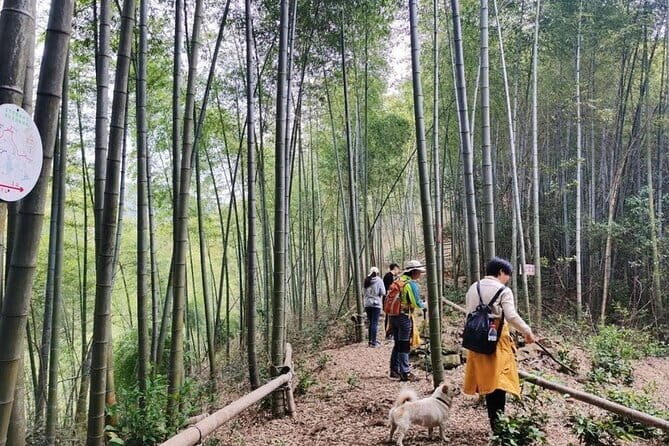 Shanghai to Hangzhou Tofu Ancient Road Hiking Tour by Train - What’s Included and What to Keep in Mind