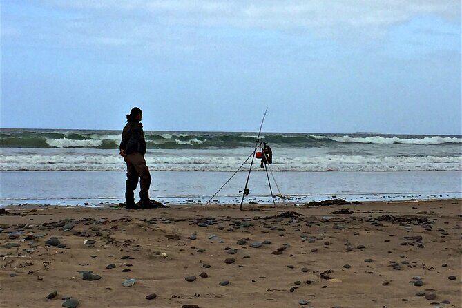 Shannon Airport Private Transfer: Shannon Airport to Killarney - Why This Transfer Stands Out