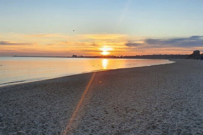 Shannon Airport to Cork, Private Chauffeur Service - Vehicle Options and Group Sizes