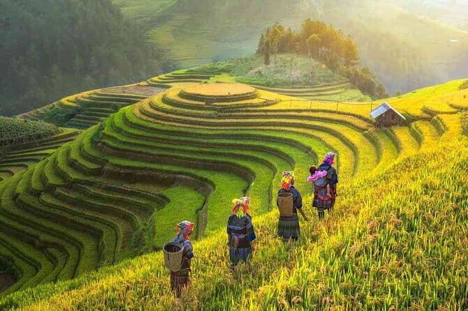 Shared 2 days and 1 night Sapa Trekking Adventure - A Closer Look at the Sapa Trekking Experience
