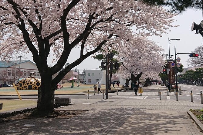 Shared 3 hours Tour to Discover the Character of Sakichi Horie - FAQs