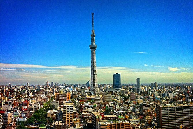 Shared Arrival Transfer : Narita International Airport to Hotel (Central Tokyo) - Detailed Review of the Transfer Experience
