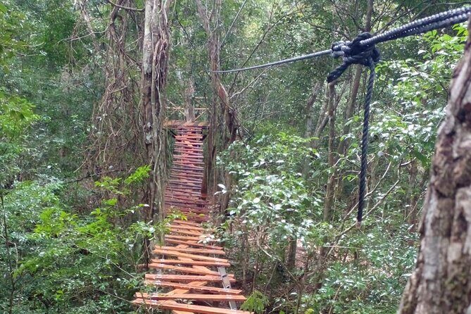 Shared ATV's and Zip Lines and Swimming in a Real Cenote. - Who Will Love This Tour?