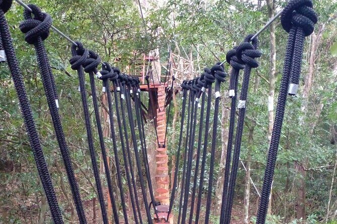 Shared ATV's and Zip Lines and Swimming in a Real Cenote. - The Sum Up: Why This Tour Is a Solid Choice