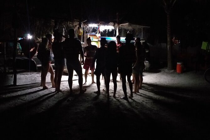 Shared Bioluminescence kayak tour in Holbox - The Experience: What Travelers Can Expect