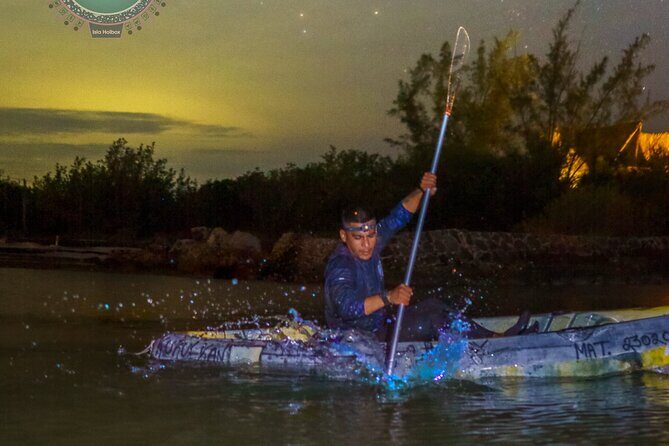 Shared Bioluminescence kayak tour in Holbox - Group Size and Safety