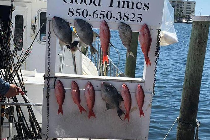 Shared Deep Sea Fishing Trip from Destin - Final Thoughts: Is It Worth It?