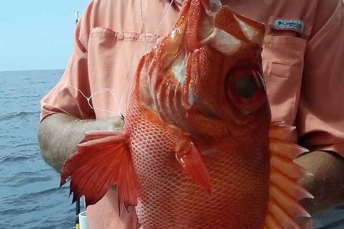 Shared Deep Sea Fishing Trip from Destin - FAQs