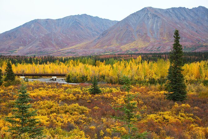 Shared Denali National Park Entrance to Fairbanks Transport - A Closer Look at the Experience