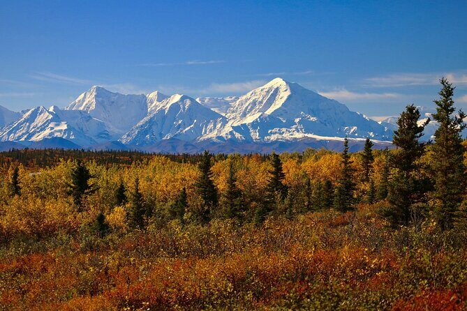 Shared Fairbanks to Denali National Park Entrance Transport - A Detailed Look at the Experience